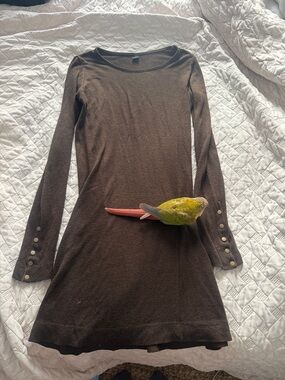 Classic Long-Sleeve Brown Knit Dress with Button Cuffs